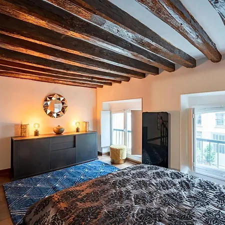 Splendid Duplex With Courtyard In The Marais *